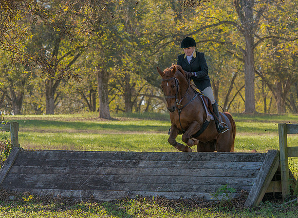 Belle Meade