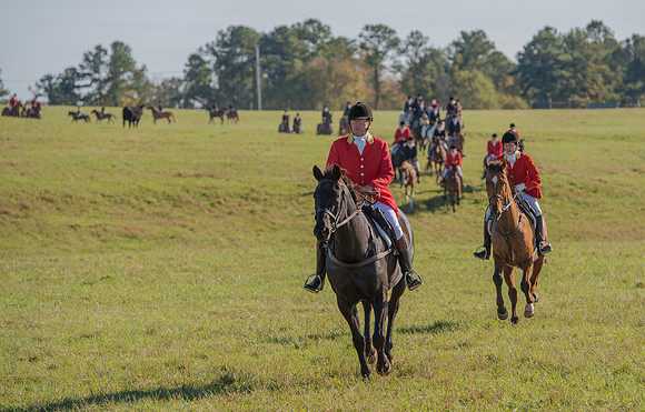 Belle Meade