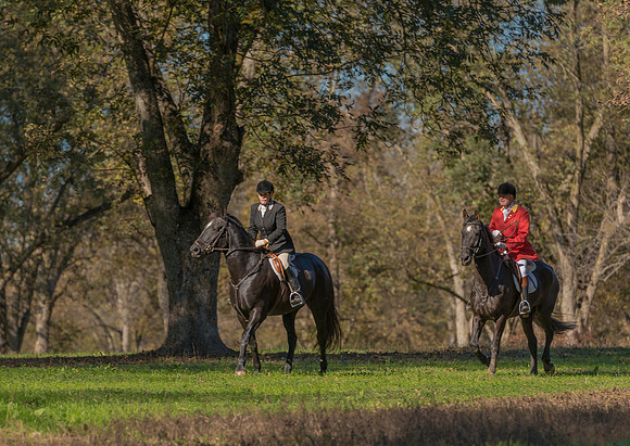 Belle Meade
