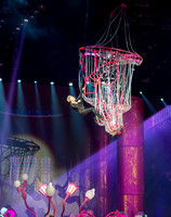 Pink Concert_3-12-2019_295715