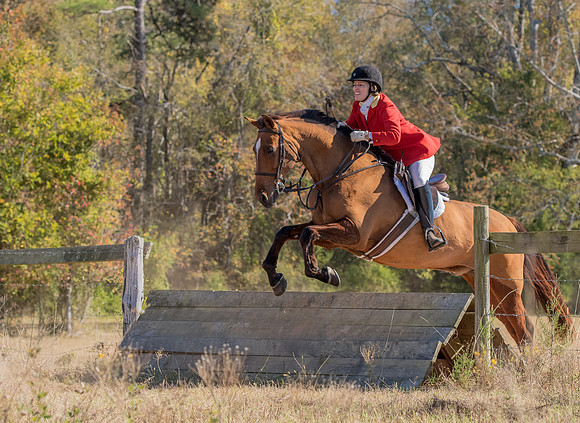 Belle Meade_228592_11-5-2016