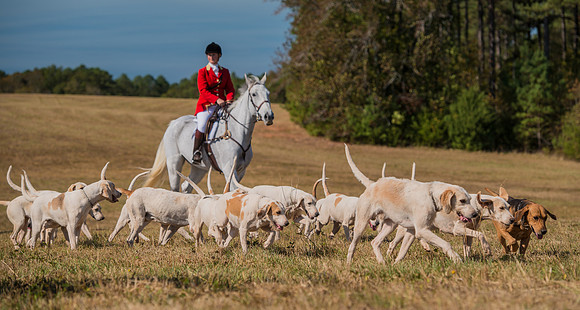 Belle Meade_228043_11-5-2016