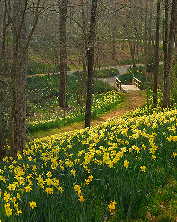 Gibbs Gardens