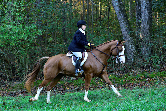 Shakerag Opening Hunt 2014