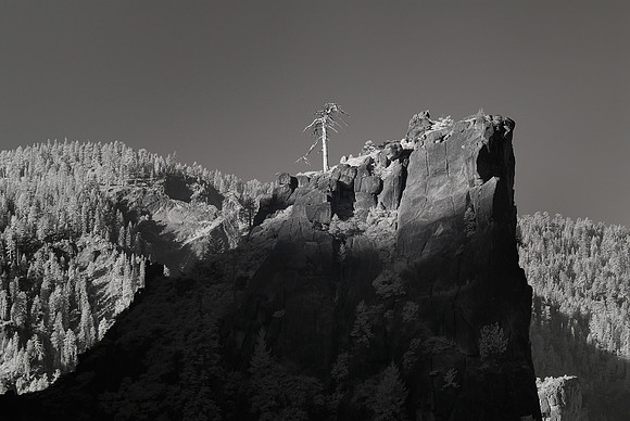Morning Light, Yosemite