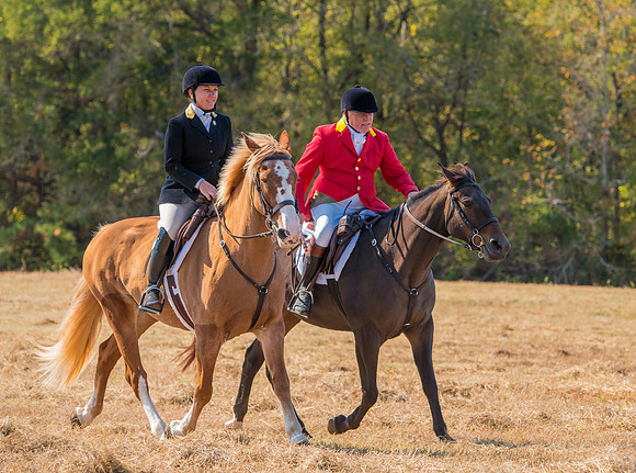 Belle Meade_228134_11-5-2016