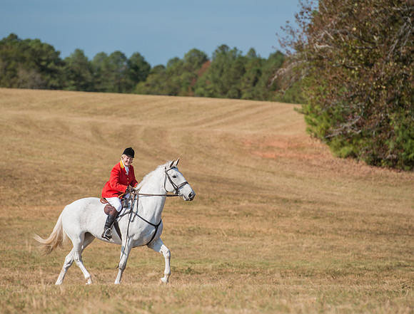 Belle Meade_227996_11-5-2016