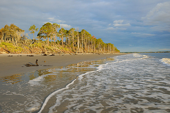 Driftwood Beach