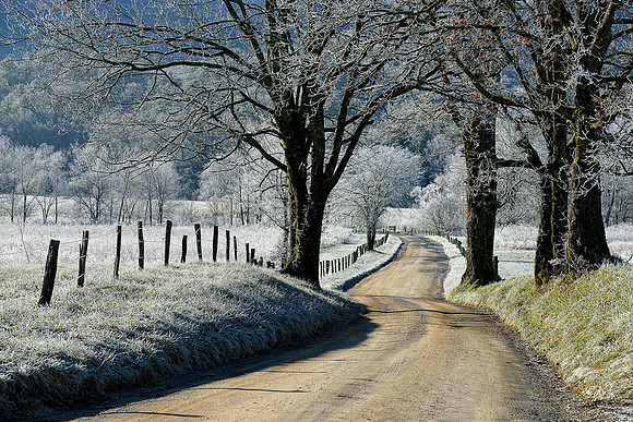 Smokies - Cades Cove - Hyatt Lane with Frosted Trees