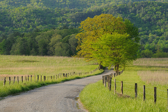 Hyatt Lane - Cades Cove