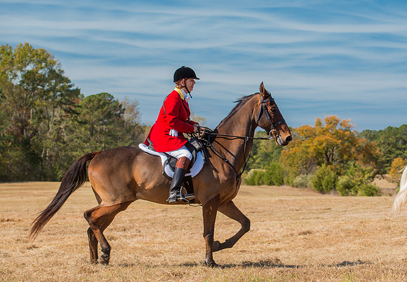 Belle Meade_228119_11-5-2016