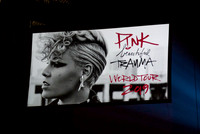 Pink Concert_3-12-2019_295704