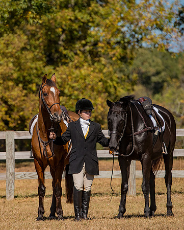 Belle Meade_228178_11-5-2016
