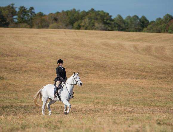 Belle Meade_228006_11-5-2016