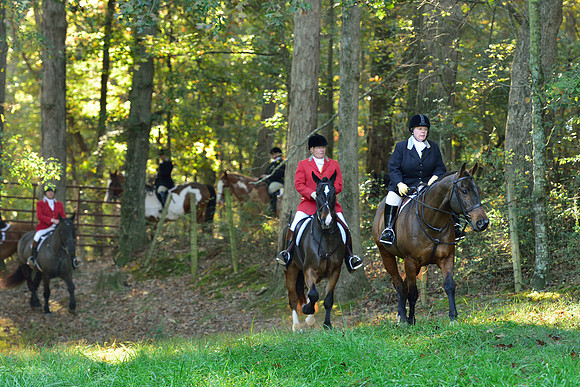 Shakerag Opening Hunt 2014