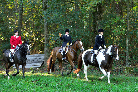 Shakerag Opening Hunt 2014