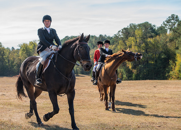 Belle Meade_228083_11-5-2016