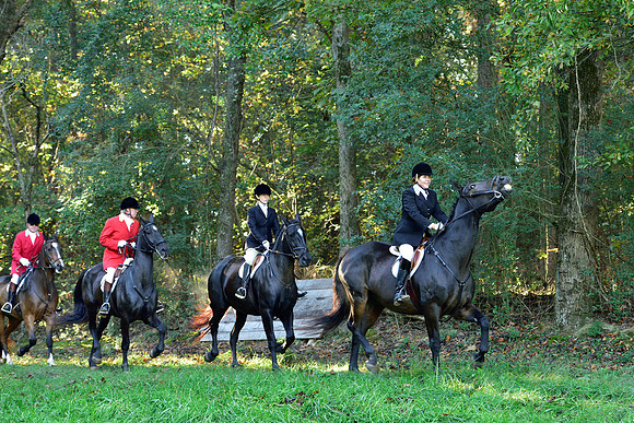 Shakerag Opening Hunt 2014
