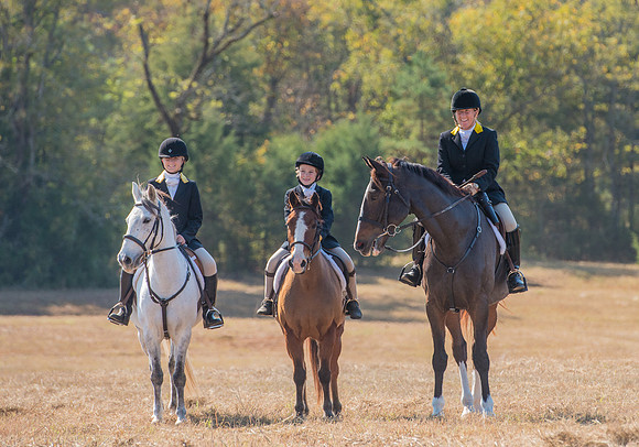 Belle Meade_228090_11-5-2016