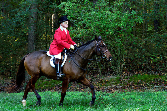 Shakerag Opening Hunt 2014