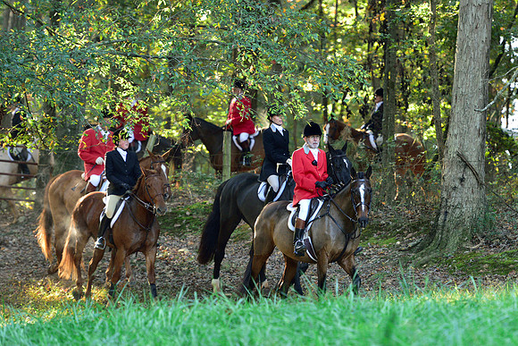 Shakerag Opening Hunt 2014