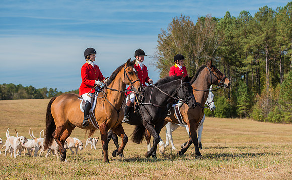 Belle Meade_228040_11-5-2016