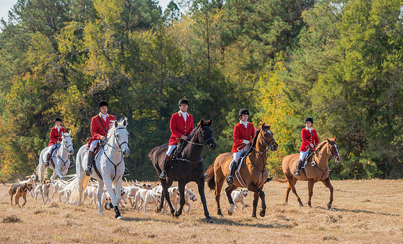 Belle Meade_228105_11-5-2016