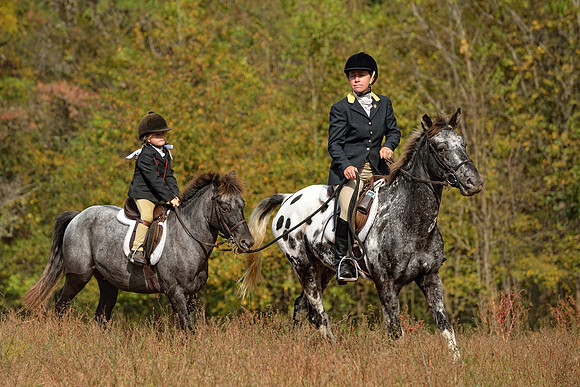 Belle Meade Fox Hunt - Opening Meet 2013