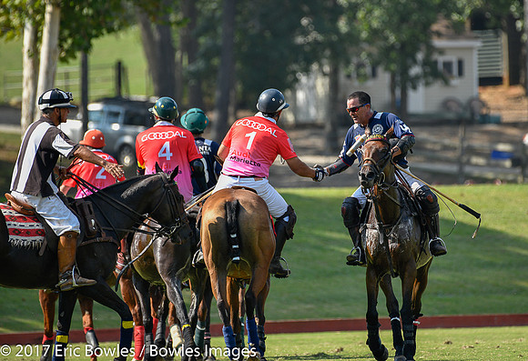 Polo for a Cause_9-17-2017_247239