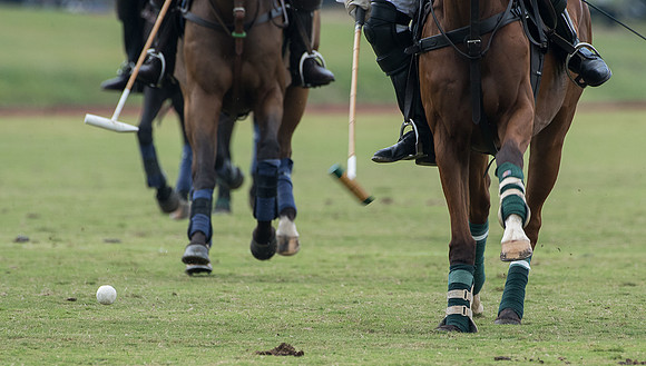 Polo for a Cause_9-17-2017_246253