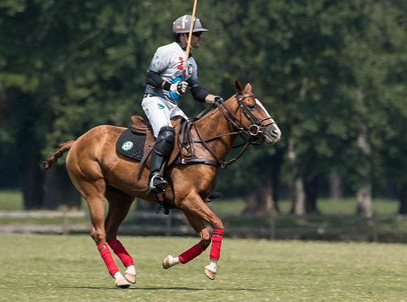 Polo for a Cause_9-17-2017_246294