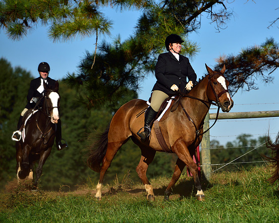 Shakerag Opening Hunt 2014