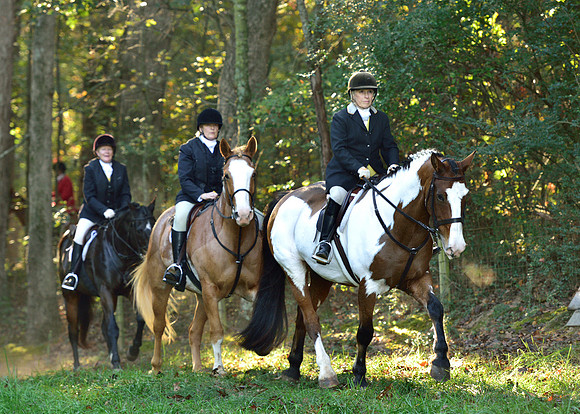 Shakerag Opening Hunt 2014
