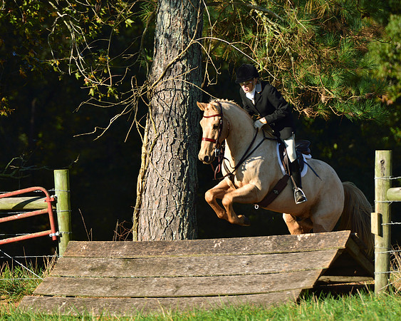 Shakerag Opening Hunt 2014