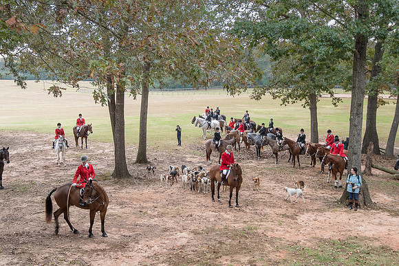 Shakerag_10-28-2017_259273