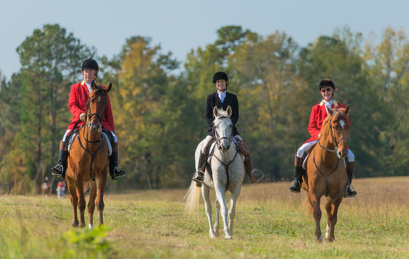 Belle Meade_11-4-2017_259955