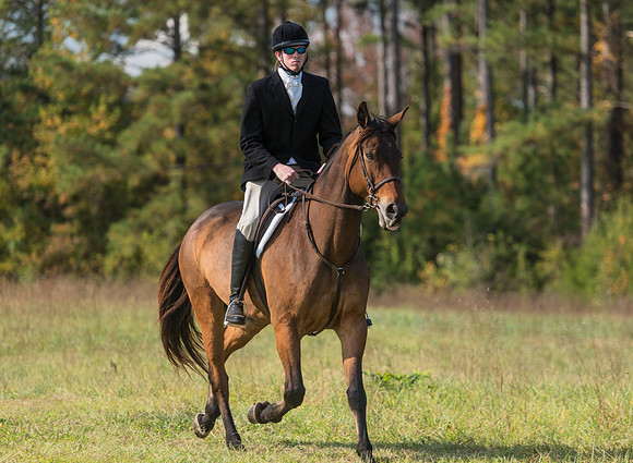 Belle Meade_11-4-2017_259974