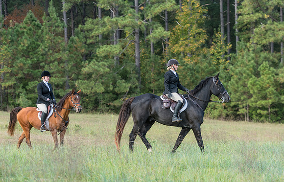 Belle Meade_11-4-2017_259976