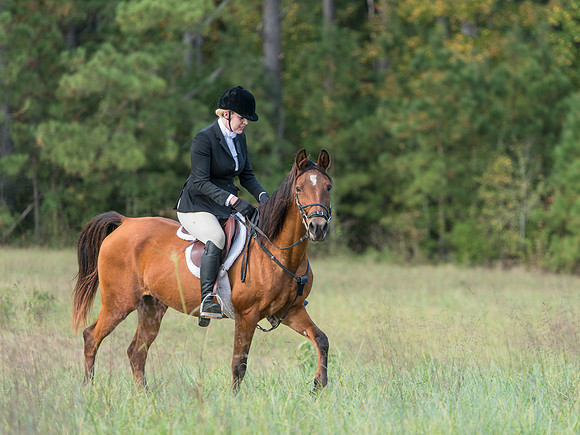Belle Meade_11-4-2017_259977