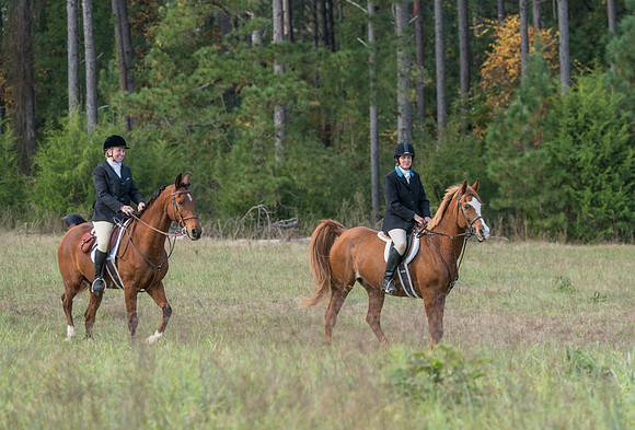 Belle Meade_11-4-2017_259979