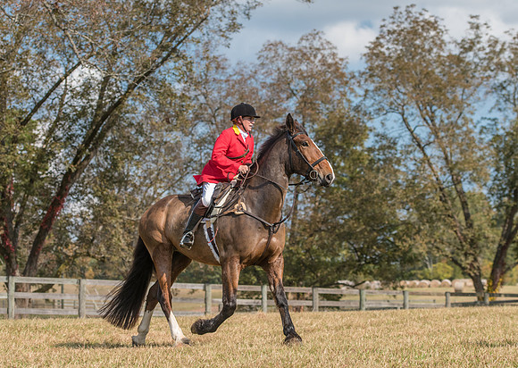 Belle Meade_11-4-2017_260087