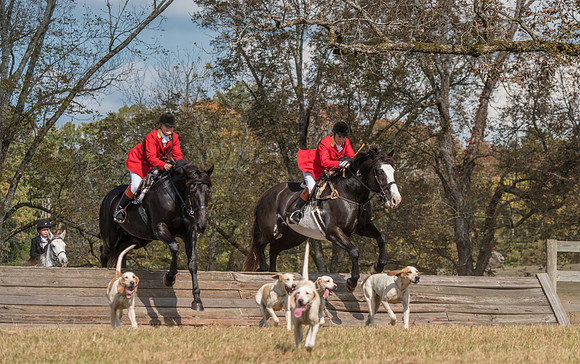 Belle Meade_11-4-2017_260091