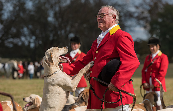 Belle Meade_11-4-2017_260148