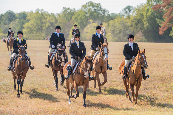 Belle Meade_228057_11-5-2016