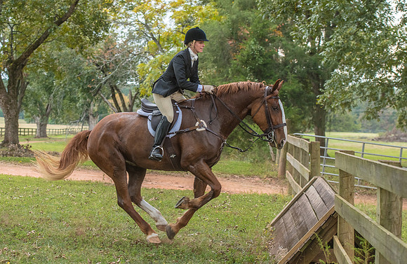 Belle Meade_11-4-2017_260530