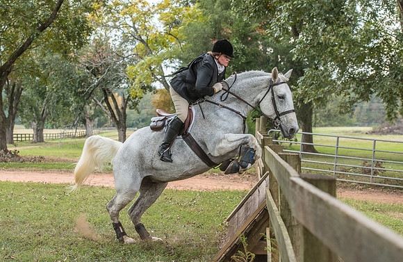 Belle Meade_11-4-2017_260541