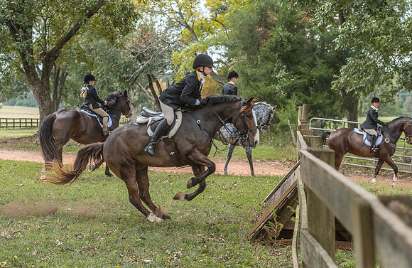 Belle Meade_11-4-2017_260547