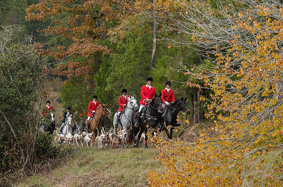 Belle Meade_11-4-2017_260852