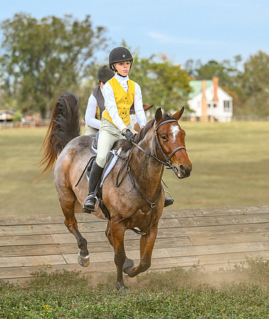 Belle Meade_20241102_422147
