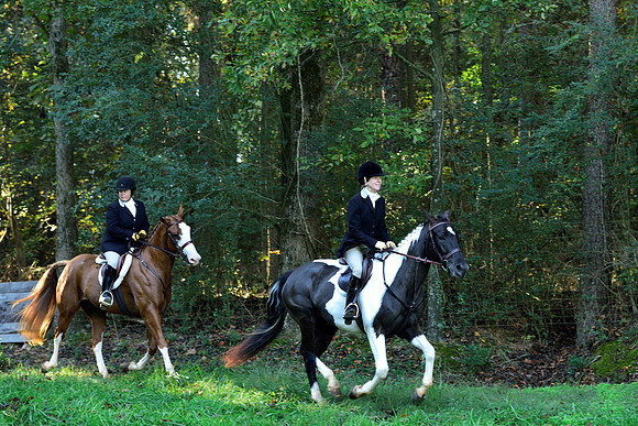 Shakerag Opening Hunt 2014